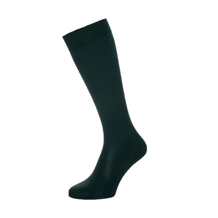 Ashton School Socks- 2 Pairs